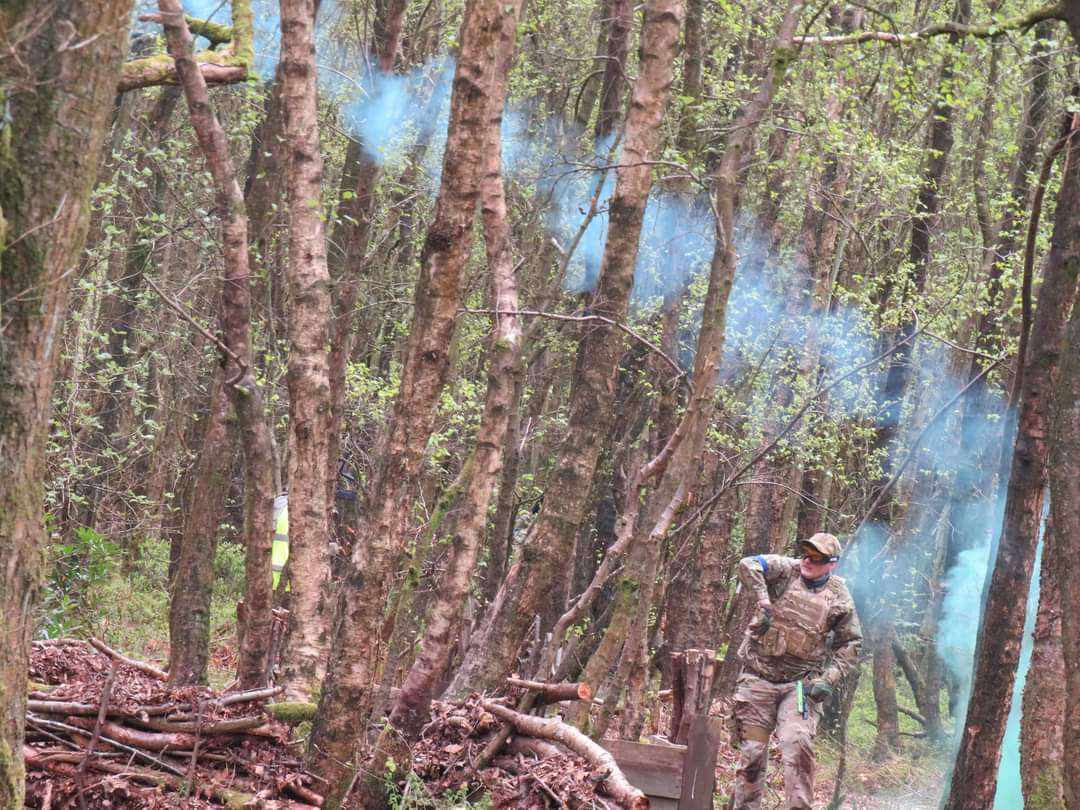 Billy in the forest
